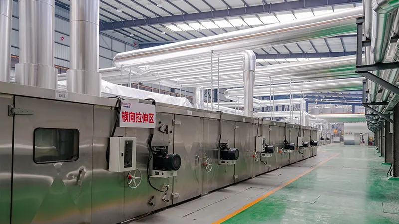 bopp biodegradable factory